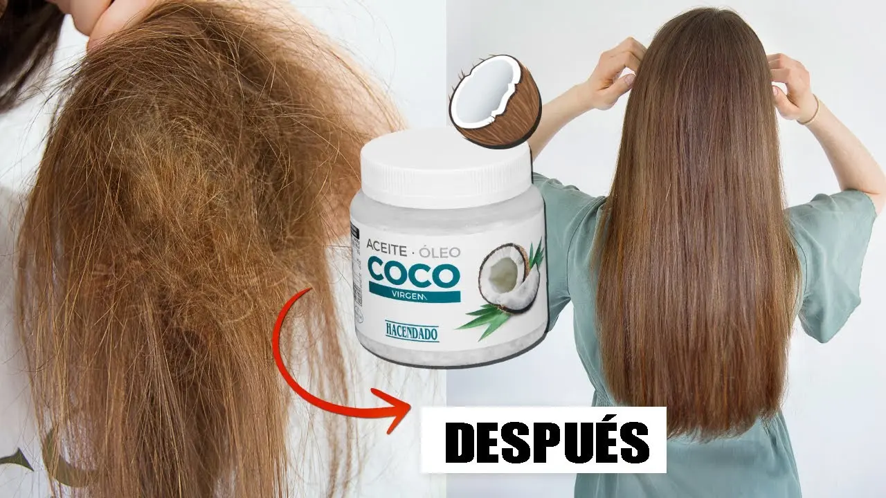 como utilizar el aceite de coco en el pelo - Cómo aplicar aceite de coco en el cabello mojado