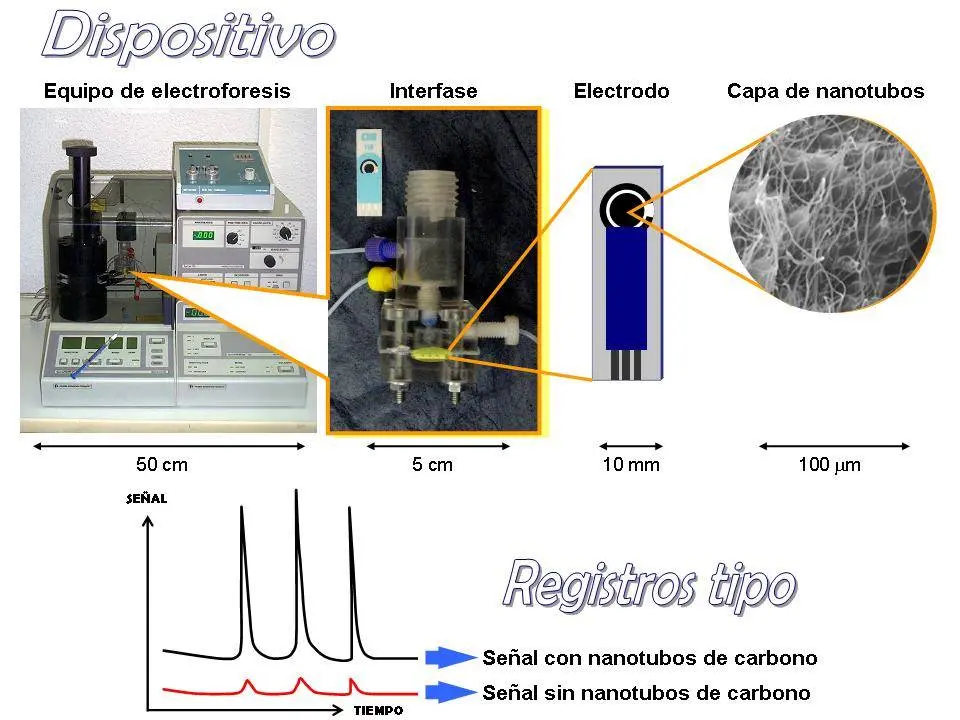 electroforesis capilar acoplada a espectrometria de masas - Cómo funciona la espectrometría de masas por electroforesis capilar