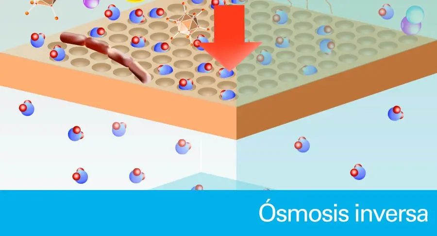 valvula de flujo capilar agua osmosis - Cómo funciona ósmosis agua