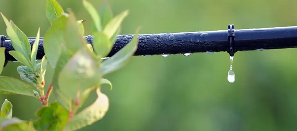 como hacer una maceta con riego capilar - Cómo hacer un riego por goteo para plantas