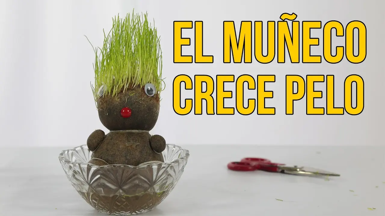 como hacer un muñeco crece pelo - Cómo se llama el muñeco que le crece pasto en la cabeza