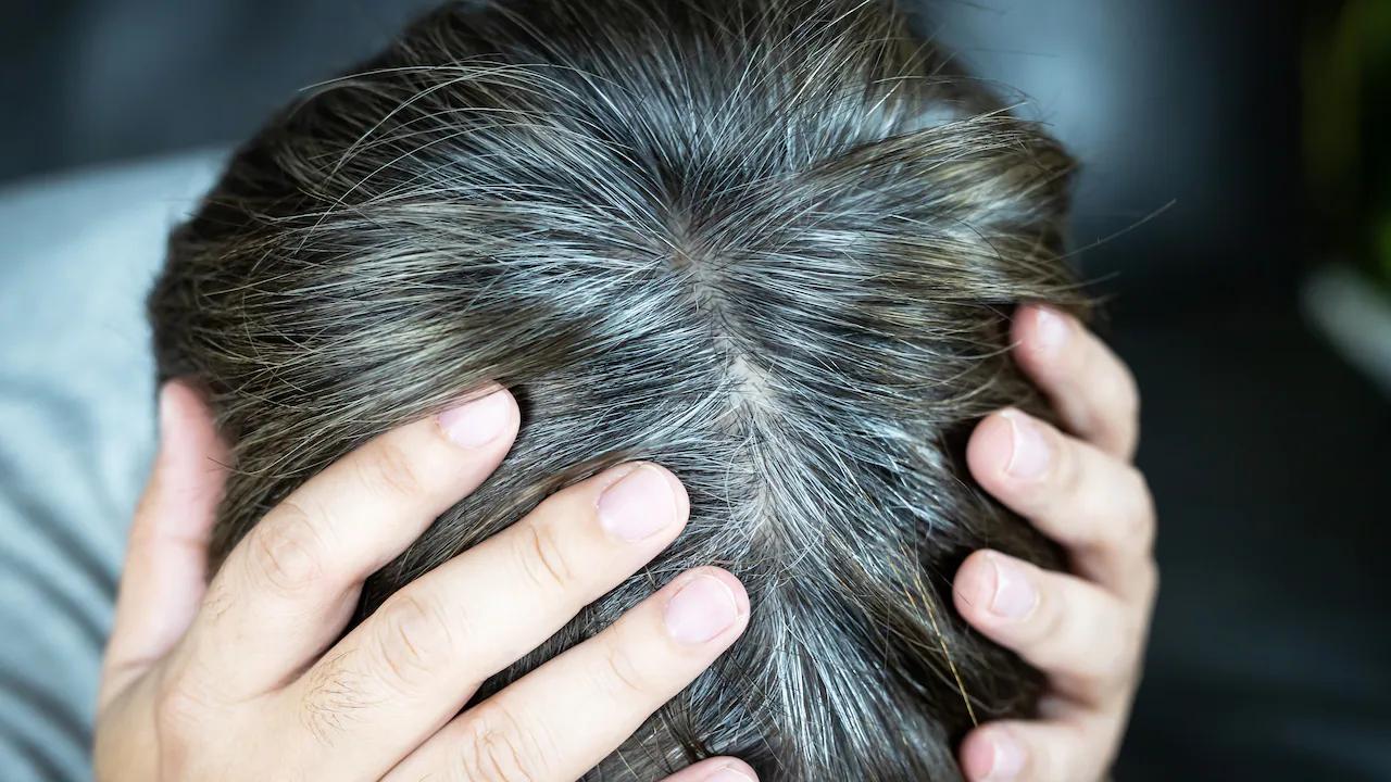 como teñir el pelo con semilla de aguacate - Cómo utilizar la semilla de aguacate para teñir el cabello