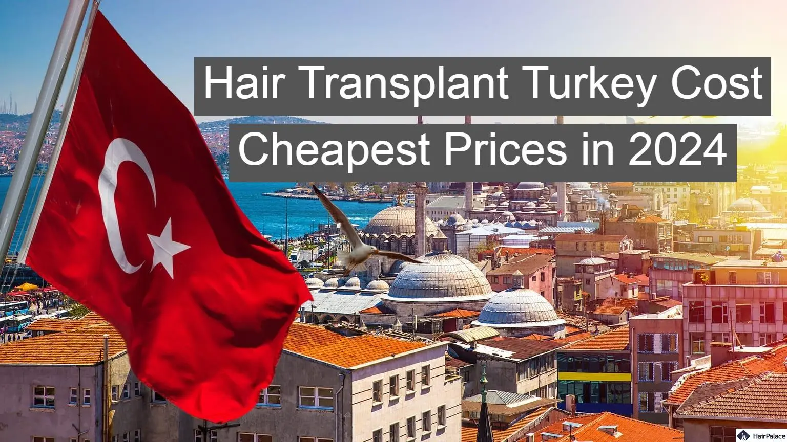 mejores clinicas turquia pelo - Cuánto cuesta un trasplante de cabello en Turquía GBP