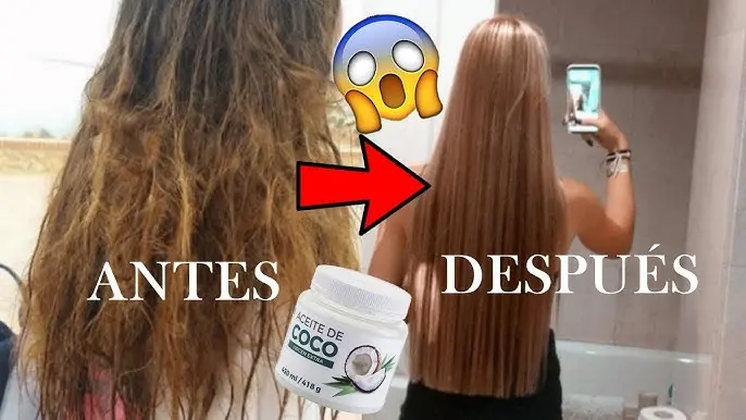 cuanto tarda en crecer el pelo con aceite de coco - Cuántos días le toma al aceite de coco hacer crecer el cabello