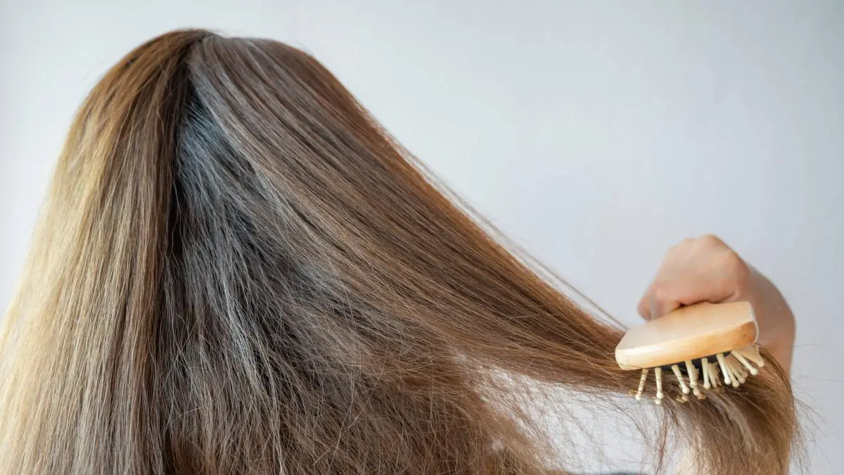 mi pelo se esponja cuando se seca - Por qué cuando me plancho el cabello se me esponja