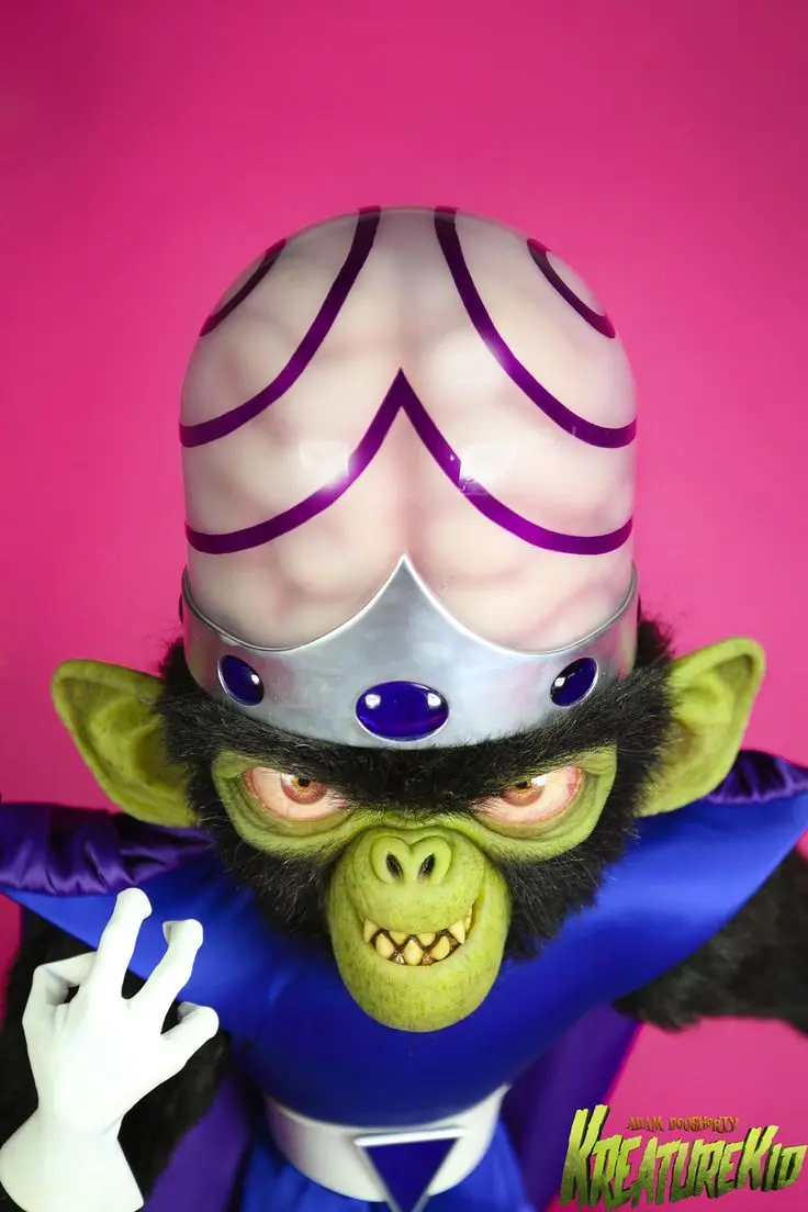 mojo jojo con peluca - Qué animal es Mojo Jojo