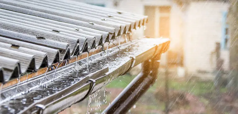 el agua de lluvia es buena para el pelo - Qué beneficios tiene el agua de lluvia