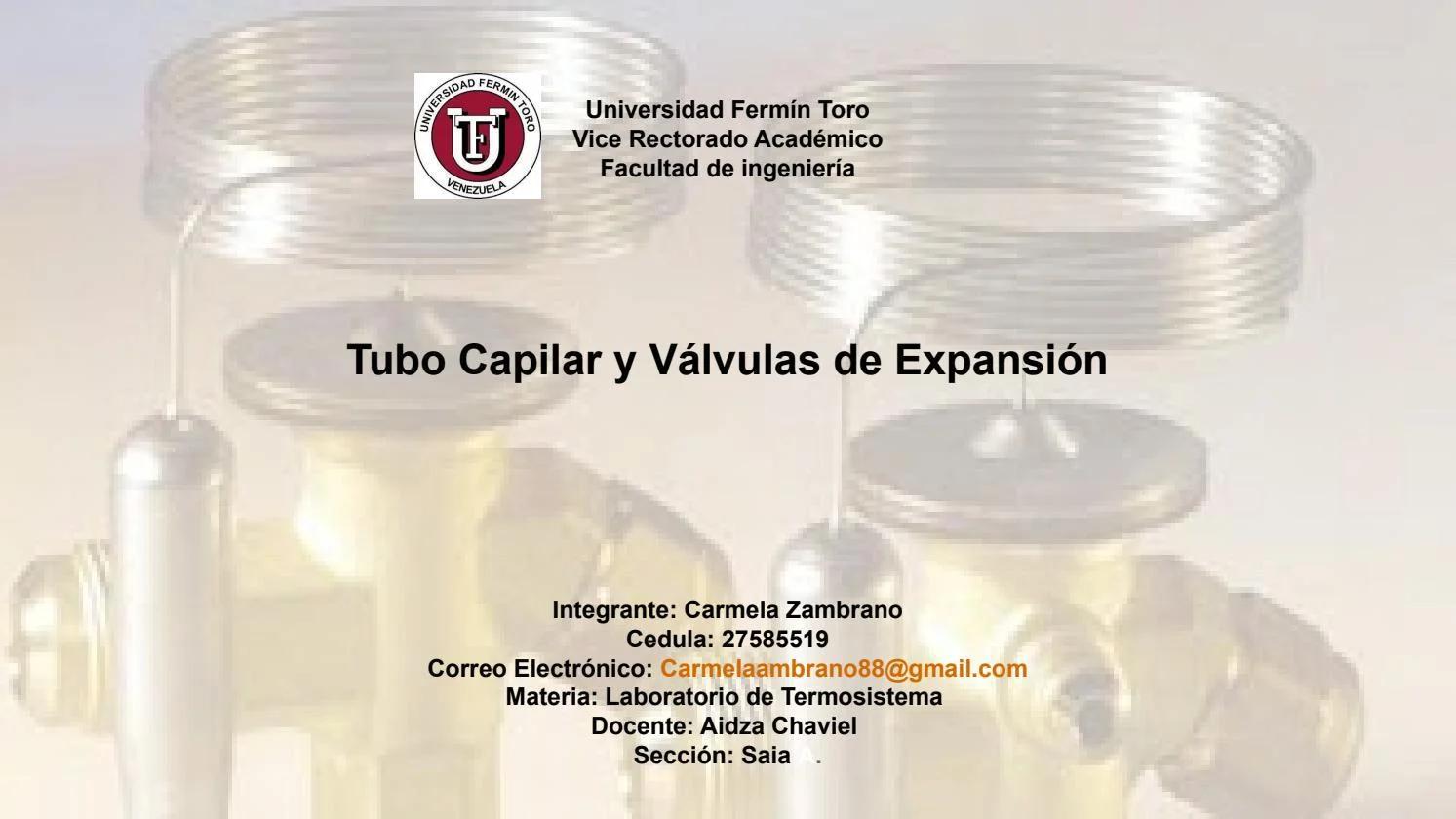 tipos de valvulas de expansion desde el capílar - Qué clases de válvulas existen