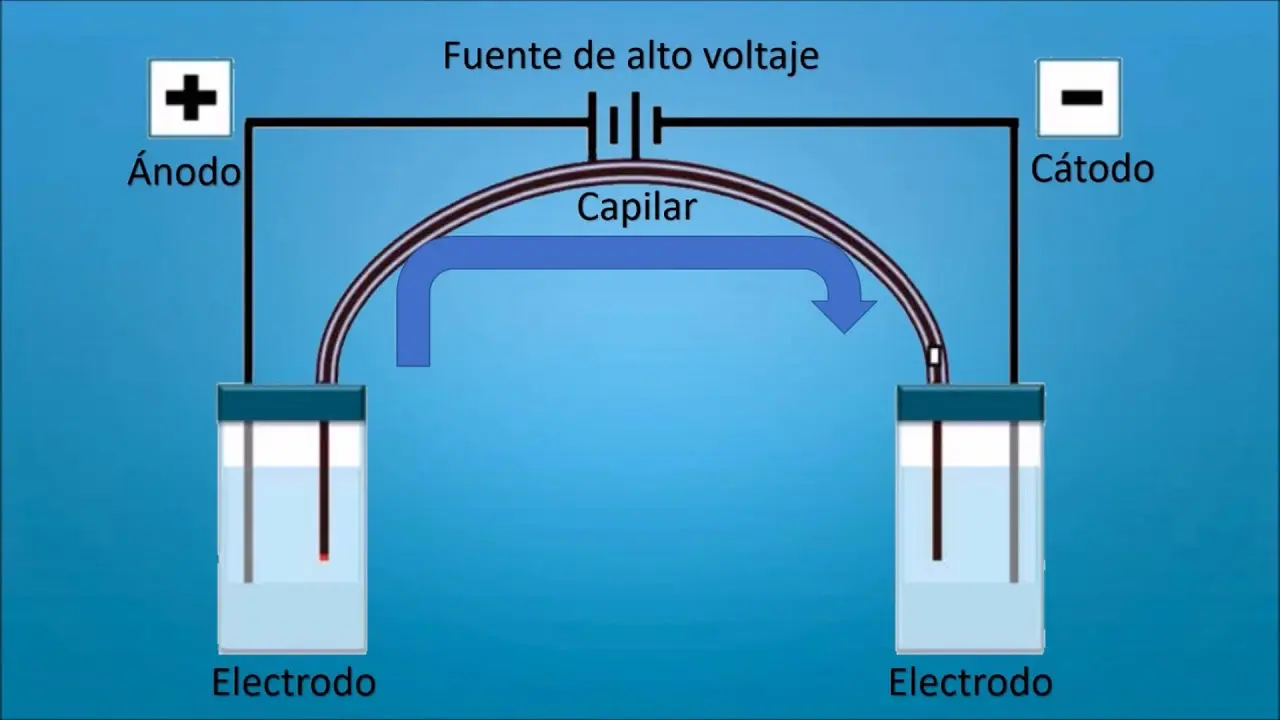 ec electroforesis capilar - Qué es EDTA en electroforesis