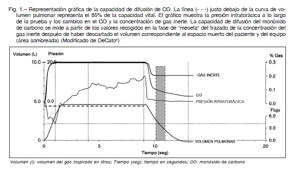 transferencia alveolo capilar de co reducida - Qué es el test de transferencia del CO