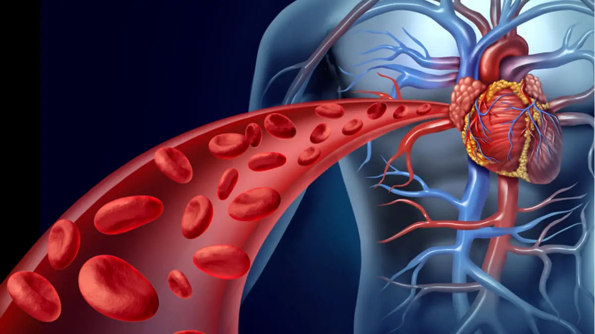 h.t.a enfermedades hipertensivas enf de las arterias arteriolas o capilar - Que órganos se ven afectados por la HTA