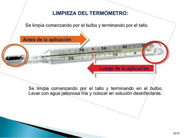 el termometro posee un capilar el cual contiene mercurio - Qué pasa si se rompe un termómetro de mercurio