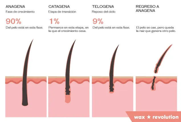 cuanto tiene que medir el pelo para depilar con cera - Qué personas son aptas para depilar con cera