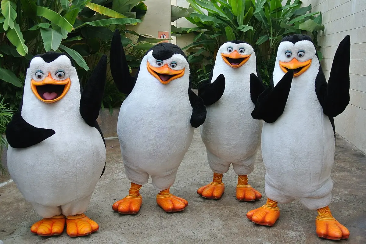 pingüino de madagascar con pelo - Qué raza de pingüinos son los de Madagascar