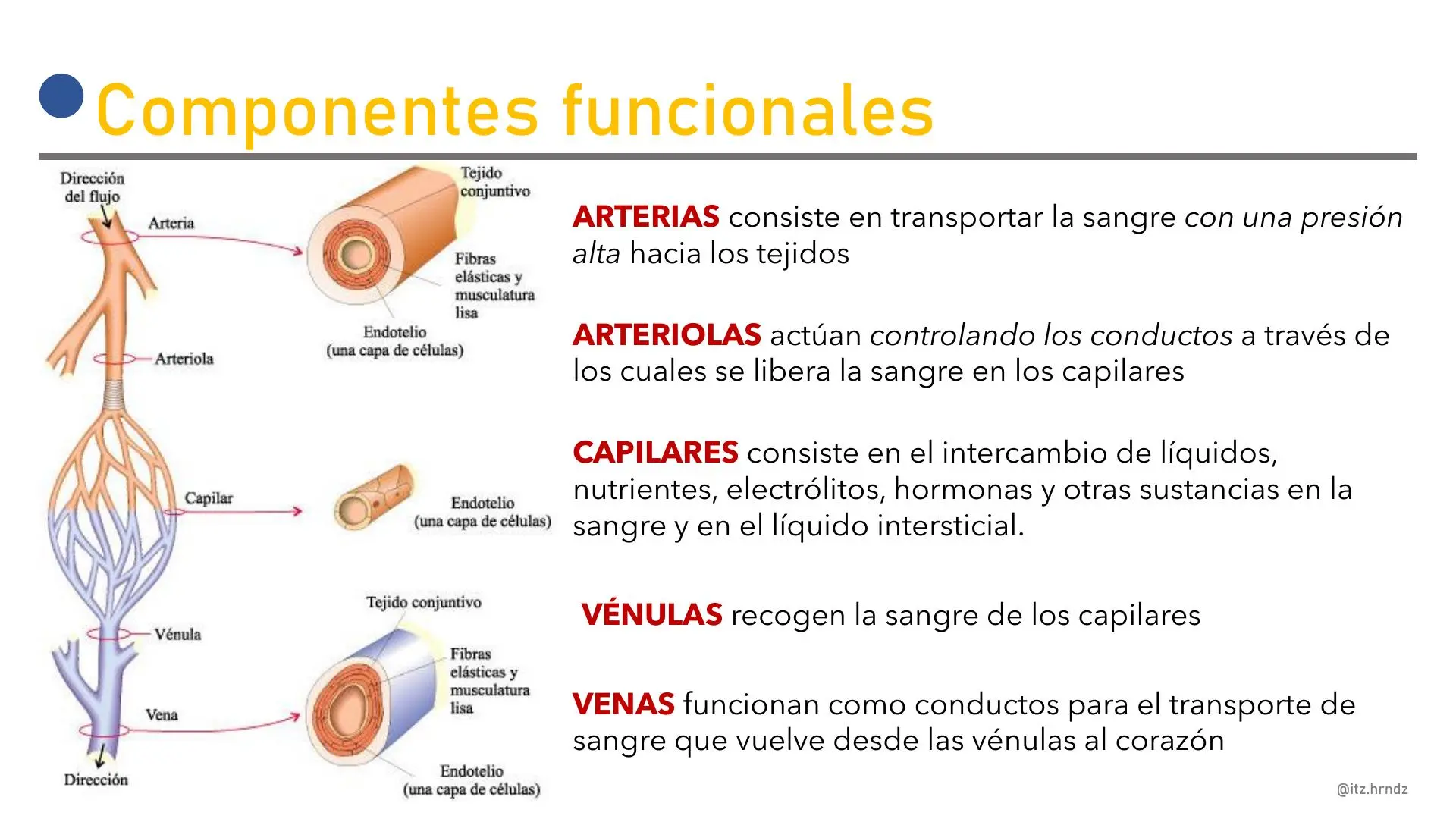 eab capilar y venoso - Qué significa EAB en salud