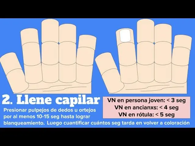 relleno capilar menor a - Qué significa llenado capilar menor a 2 segundos