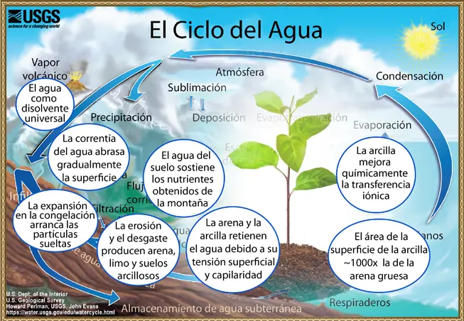 ciclo del agua y capilaidad - Qué son los 4 fases del ciclo del agua