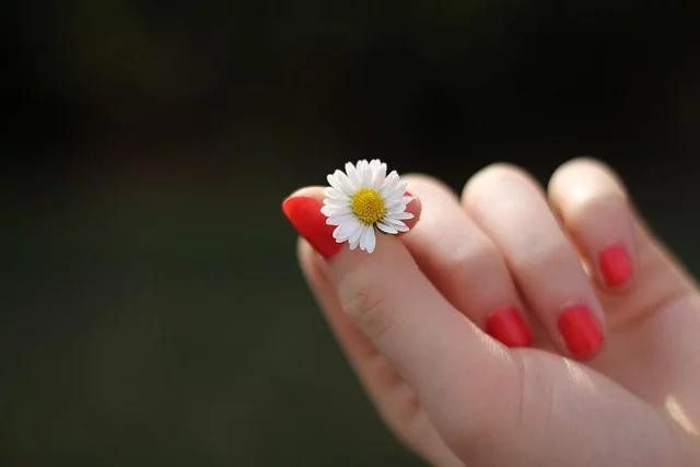 porque se rompen las uñas y se cae el pelo - Qué tomar para la caída de cabello y uñas debiles